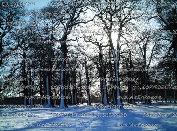 Snow001